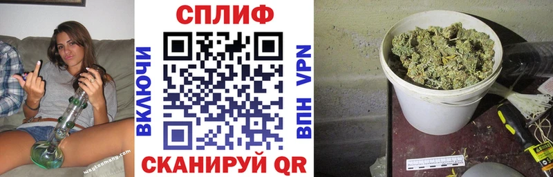 где можно купить   Пикалёво  Марихуана Bruce Banner 